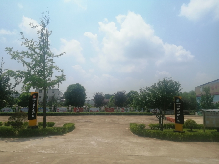 01.jpg