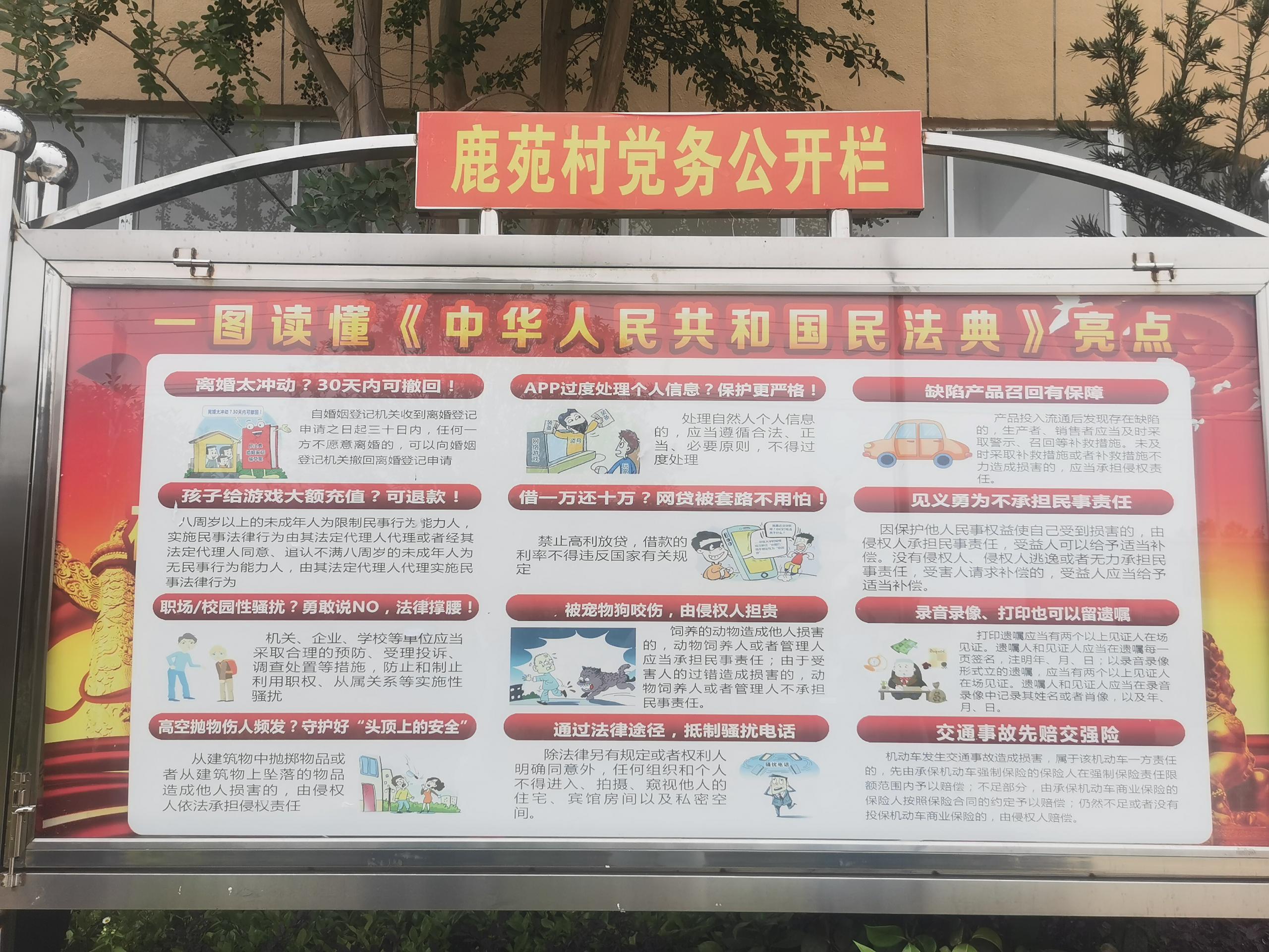 岳西县局通过社区宣传栏宣传民法典