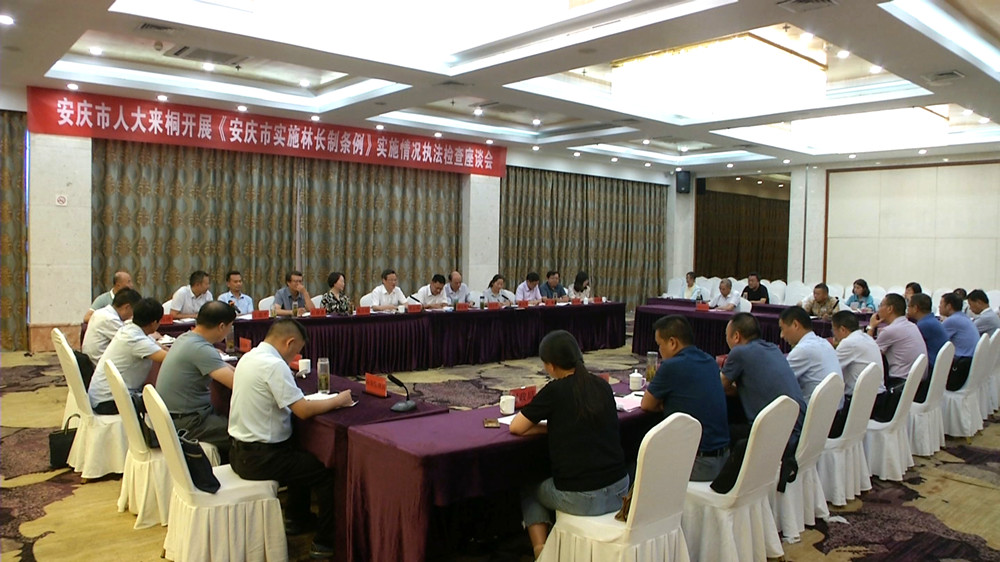 安庆人大来桐开展林长制执法检查座谈会4.jpg